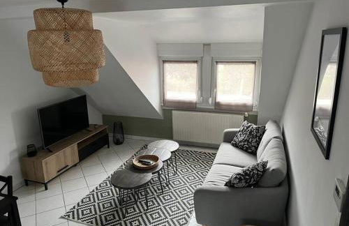 Appartement T3 rénové 60m2 proche centre Colmar - Foto 14