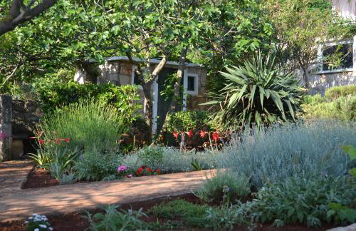 Apartments Basina - Foto 62