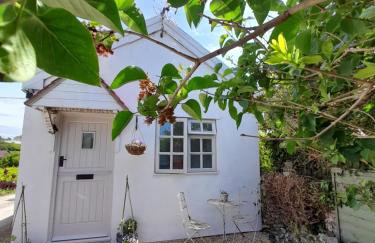 My Little Studio - Photo 1