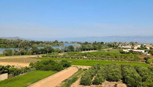 La Barcassa de Deltebre - Foto 5