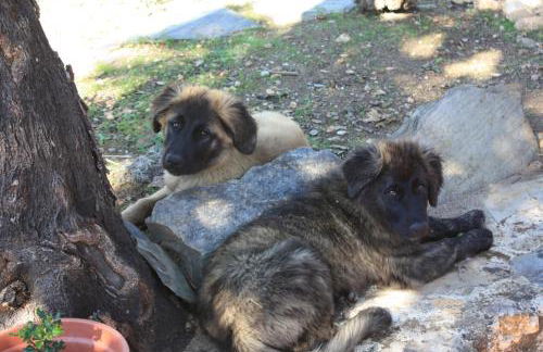 Quinta D' LuzArcoIris - Foto 55