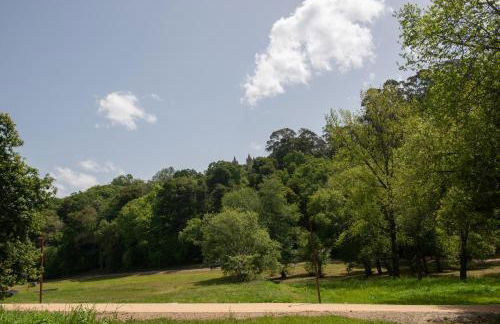 Casa do Carvalhal - natureza no centro da cidade - Foto 30