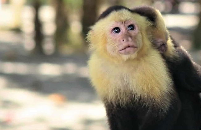 Casa Naranjito - Foto 25