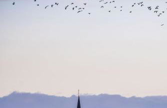 La Chambre à Four - Foto 19