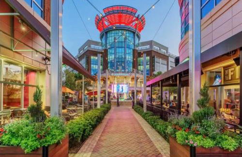 Beautiful home near Carowinds, Ballantyne - Foto 33