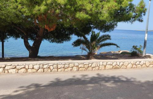 Dolphin view with a pool by the beach - Foto 29