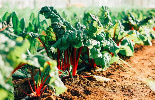 Su Leunaxiu - Foto 96