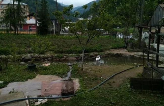 Yesil Doga Tatil Apart - Foto 16