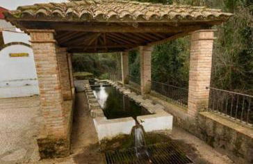 TIO TESORO - Foto 45