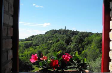 Agriturismo Althea - Foto 19