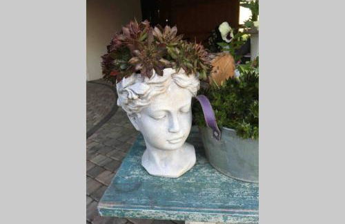 Irenes Tinyhouse - Foto 33