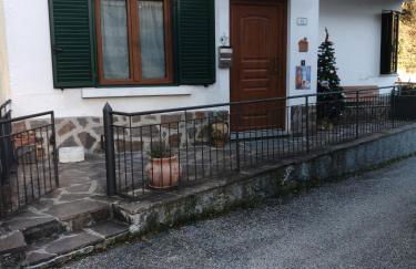 Gli Aristogatti - Foto 27