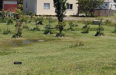 Pousada das Palmeiras - Foto 27