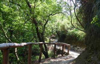 Masseria Torca - Isca - Foto 52