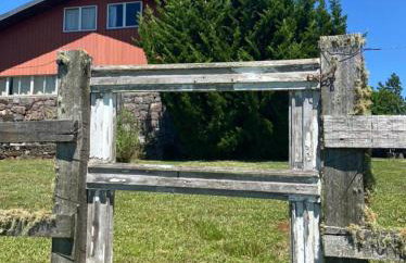 Fazenda Rodeio Bonito - Photo 11