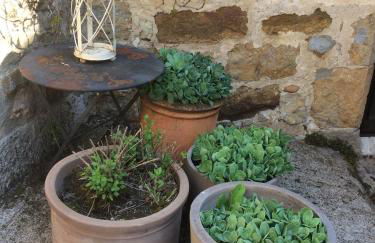 LES TERRASSES DE CARENNAC - Foto 28