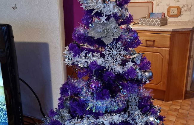 Cosy Static Caravan on East Mersea Island - Foto 32