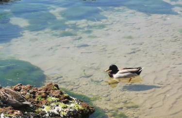 Casa la noce - Foto 15