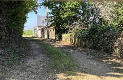 Shiloh Cottage - Foto 24