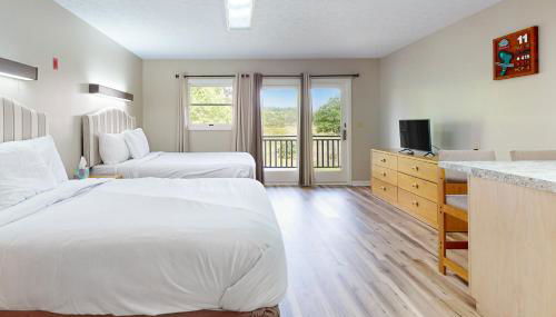 Peaceful Studio Sleeps 4 Gym Near Douglas Lake - Foto 1