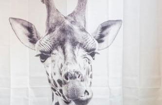 Jennifer's Modern Federal Hill Apt w Private Deck - Foto 19