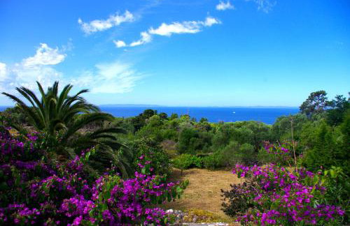 House Luna - Foto 11