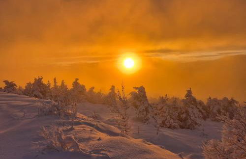 Gite l'Or des Cévennes - Foto 13