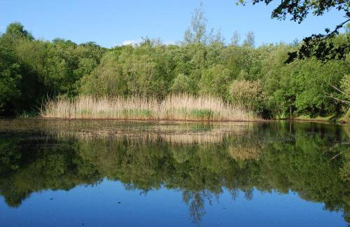 Hafan Cottage at Bryn Llys - Photo 23