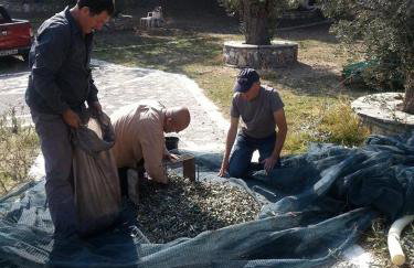 Ano Platanaki - Foto 25