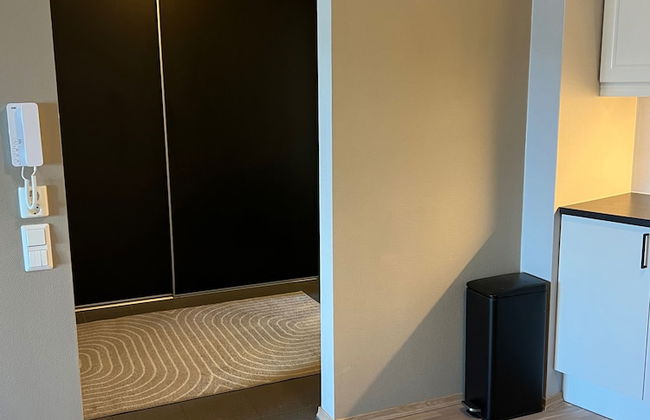 Arctic Aurora Suite in Center of Alta - Photo 20