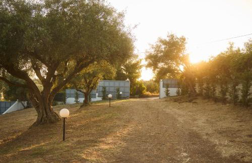 Olive Retreat - Photo 42