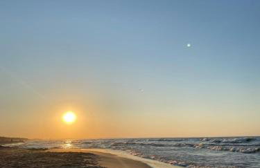 Baltic Porto - Porto 32 - Photo 22