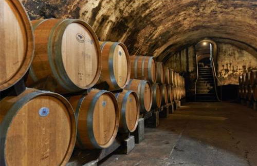 NEW! VillaBella Luxury Farmhouse - Foto 13