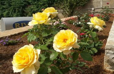 Seastone Villas - Foto 32