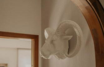 Weissewolke - Foto 15