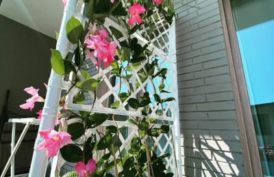 Relaxing Home - Foto 51