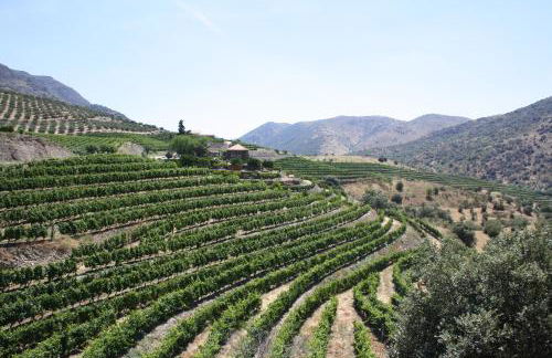 Casa Rural Mimbrero - Foto 14