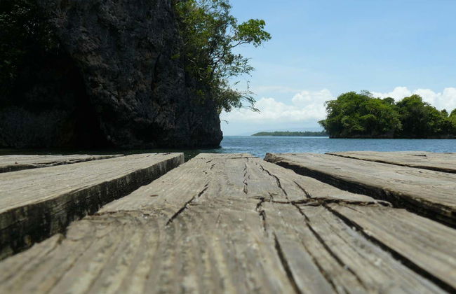 Excursion au Parc National Los Haitises - Photo 1