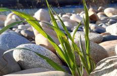 Appartement duplex meublé avec vue sur piscine - Foto 31