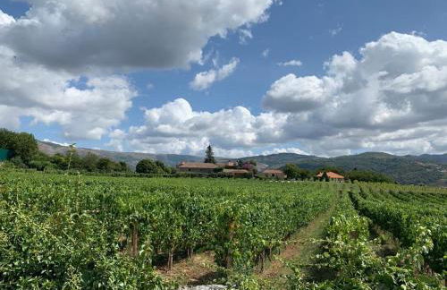 Quinta De Guimaraes - Foto 23