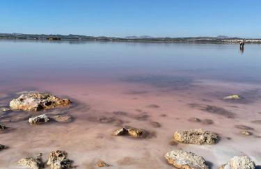 Casa Amarela Guesthouse, Algorfa - Foto 42