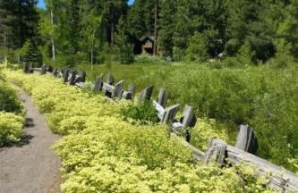 Lake Tahoe Leisure - Foto 20