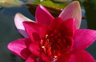 Ferienhof tom Diek - Foto 64