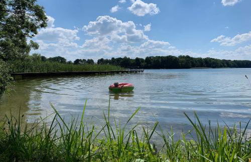 Gut Pälitzhof - Foto 17