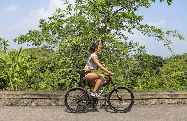 The Hermitage by Edwards Collection - Foto 33