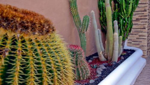 Lagaete Duplex - Foto 4