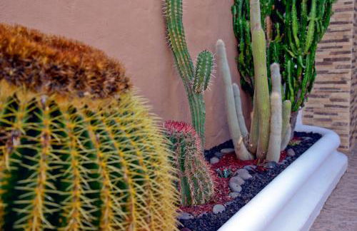 Lagaete Duplex - Foto 4