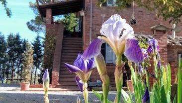 Agriturismo La Terra - Foto 5