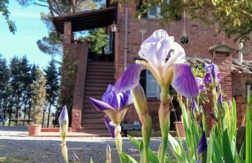 Agriturismo La Terra - Foto 5