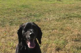 Cute self-contained guest room with ensuite and private decked porch in Glastonbury - Photo 14